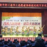 新河乡：文艺演出鼓干劲　环境整治不松劲
