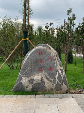 西宁果洛中学援青林.jpg