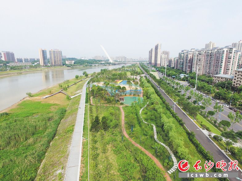 　　浏阳河畔的绿色公园，成为人们散步游玩的好去处。