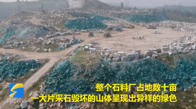 微信图片_20190731133636.gif