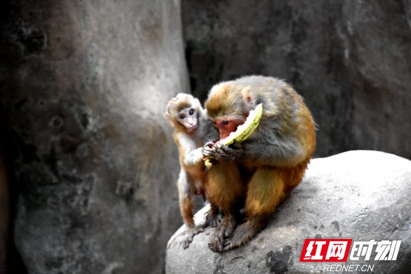 DSC_1942_wps图片.JPG