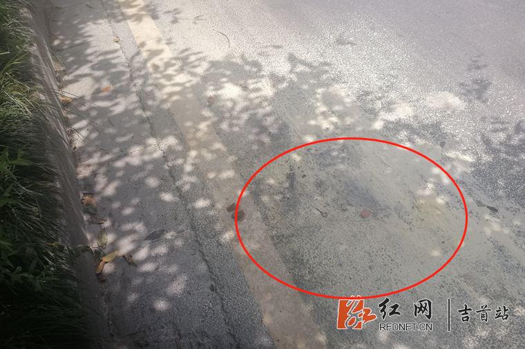 ????_20190803175959.jpg