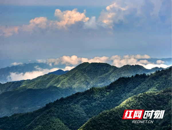 大托山寨的石瀑，气势磅礴的登山攀崖的最佳之地；崇木凼村的古树林海，是都市人与森林对话，听雾海松涛的绝妙之处。