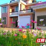 文明实践的农村舞台：花开百朵，各表一枝