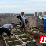 拒绝“空中菜园” 还居民好环境