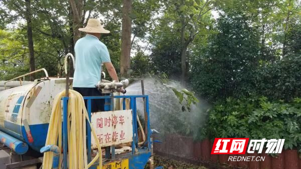 永州市林科所：全力抗旱保苗