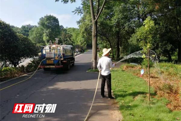 永州市林科所：全力抗旱保苗