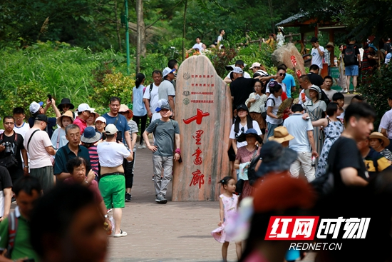 张家界十里画廊：暑期旅游持续升温  精细化服务保安全