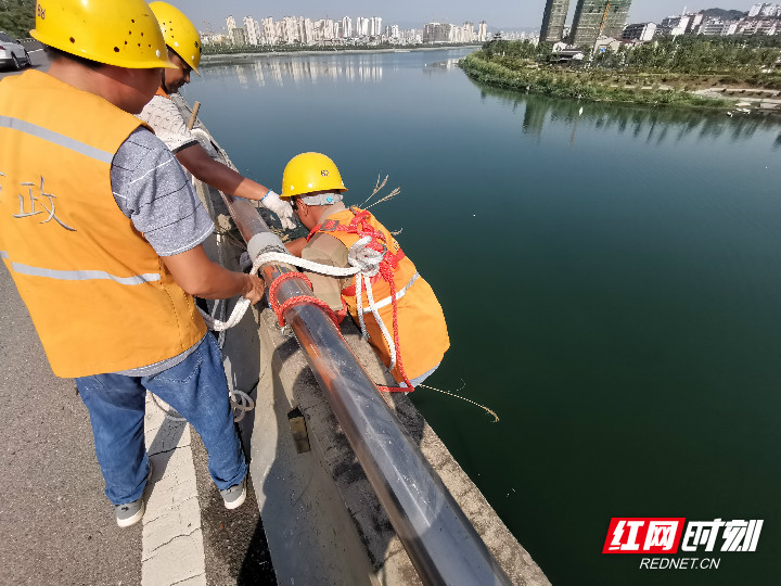 ​张家界市政工人桥梁除杂草   为创卫不留“死角”