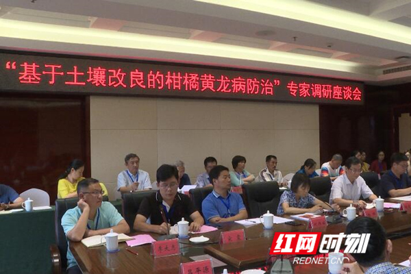 QQ截图20190806100043_副本.jpg