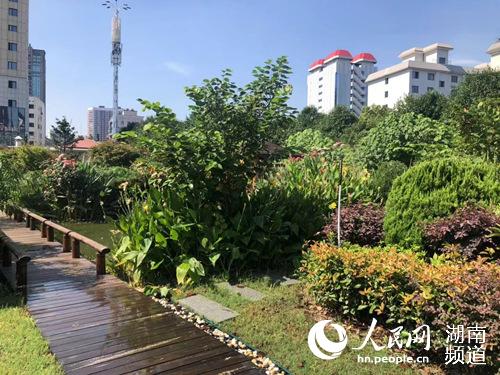 湘湖污水处理厂绿化建设