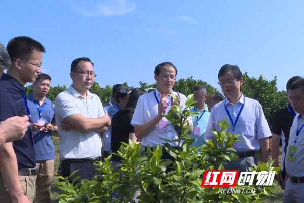 QQ截图20190806095956_副本.jpg