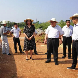 徐文龙率省总工会调研组来常调研水口山工人运动纪念馆项目建设情况