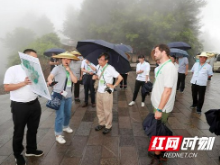 联合国教科文组织专家到龙山考察评估湘西地质公园
