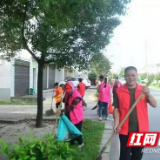 桃江灰山港镇：杨家湾村干群联手整村容
