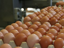 市场监管有力量丨消费者投诉鸡蛋年卡骗局 湘咯咯负责人被约谈