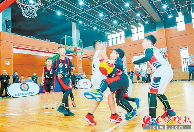 中国小篮球联赛长沙赛区总决赛现场。 钟斌 供图