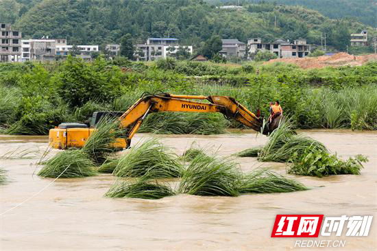 湖南张家界：河水暴涨两人被困孤岛 慈利消防群众携手救援 (5).jpg