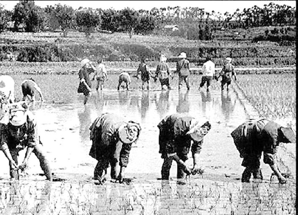 20190808073003310447.jpg 20190808073003310447.jpg