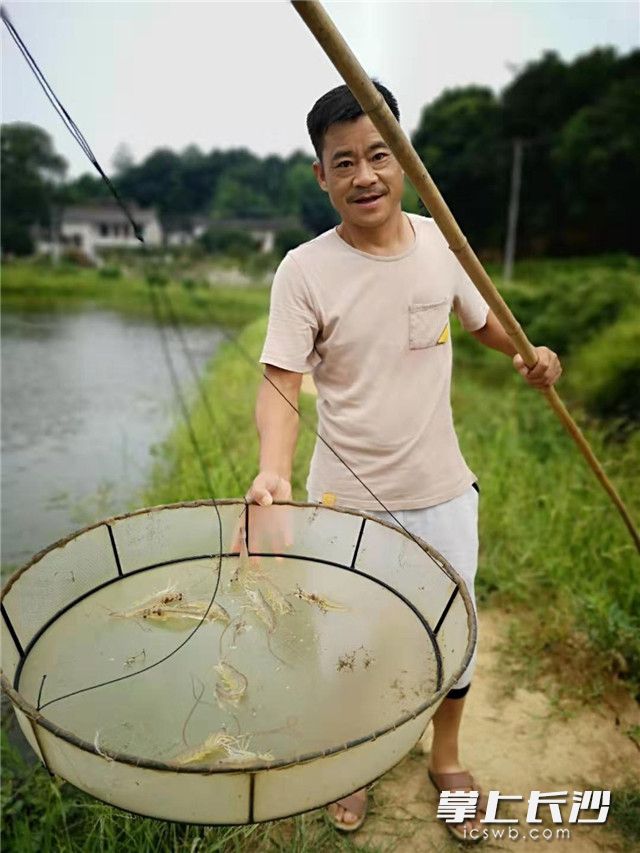 本地产的南美白对虾保证了鲜活度，备受本地水产商青睐。