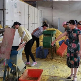 民富中药材专业合作社：中药材拓宽致富路