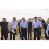乡友牵线搭桥　广东一方制药有限公司高层来华容考察