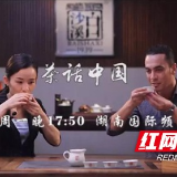 白沙溪茶厂冠名湖南卫视国际频道《茶话中国》栏目 助推中国茶走出国门