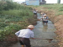 湘乡市月山镇：抗高温通水渠 打通灌溉生命线