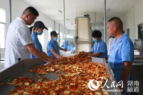 陈皮加工生产线