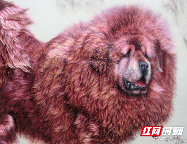 timg (61).jpg timg (61).jpg