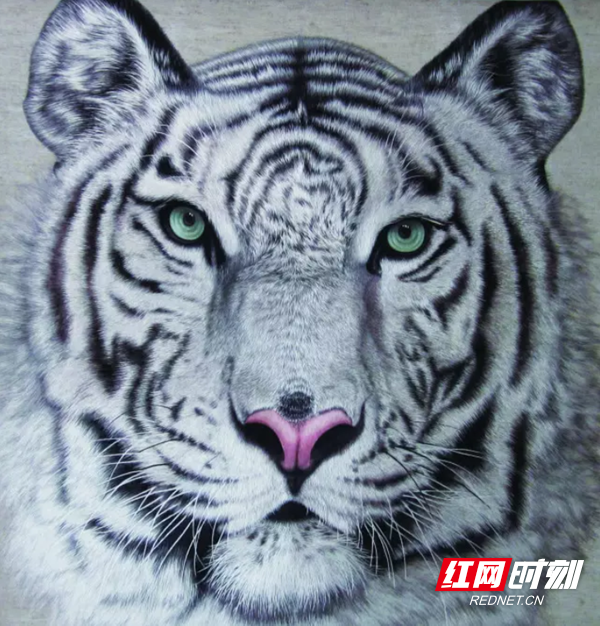 QQ??20190813150725.png QQ??20190813150725.png