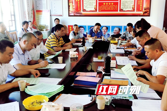 主题党日活动集中宣讲平安创建知识.jpg