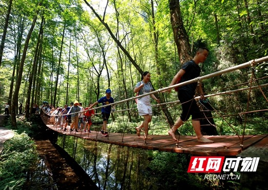 【组图】张家界武陵源景区：暑期旅游热劲足