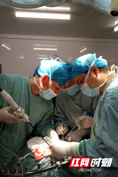 《专注》：
 守护生命健康，专注每一分细节。