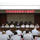 优化营商环境 合力推进减税降费在岳麓落地生根