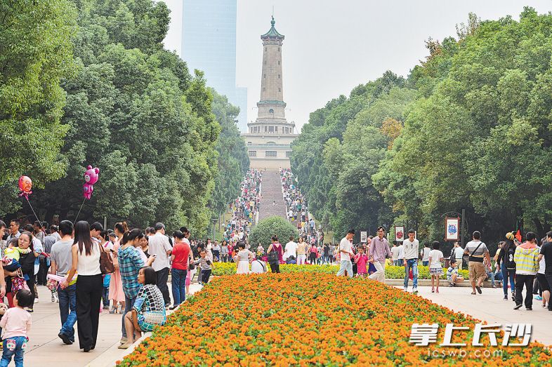 　　2018年10月1日，国庆假期里的烈士公园游道上人流如织，当年纪念碑旁种下的树苗已经长成参天大树。