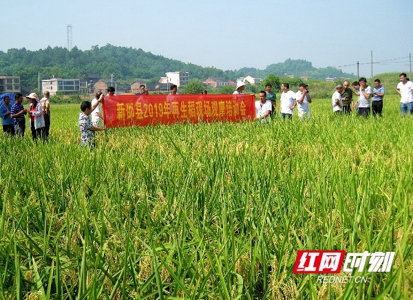 88cbc4ba-5aaa-47be-8684-bb49001f8068.jpg