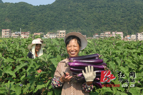 茄子、 (2)1000 拷贝.jpg