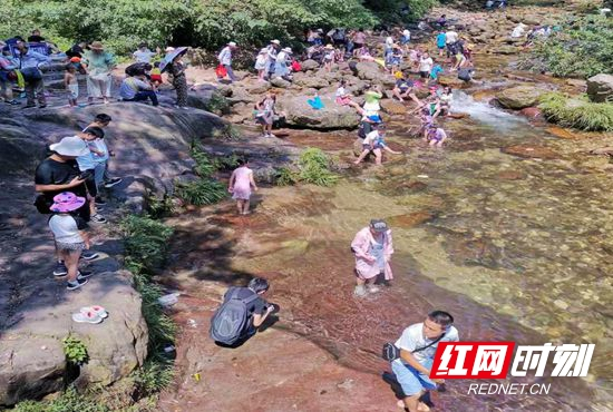 张家界金鞭溪“暑”你最爽