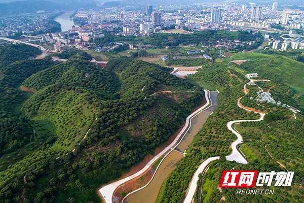 杨梅基地 (5).jpg 杨梅基地 (5).jpg
