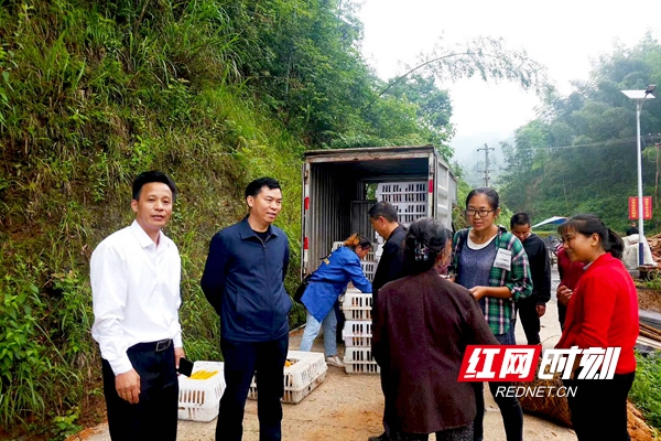 微信图片_20190817160640.jpg 微信图片_20190817160640.jpg