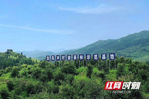 微信图片_20190817160510.jpg 微信图片_20190817160510.jpg