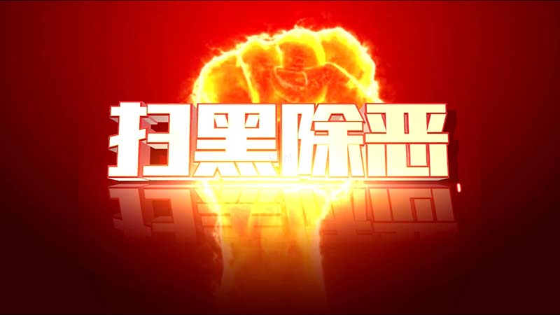 扫黑除恶专项斗争