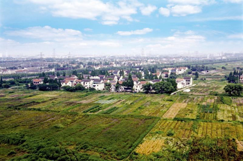 1990年的外高桥地区。