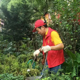 【创文小课堂】（一）| 全国文明城市的含义与评选标准