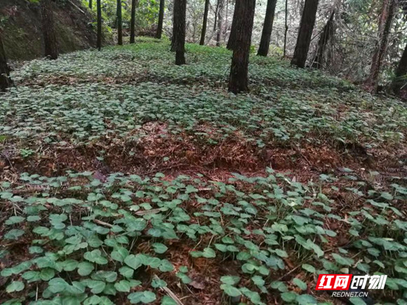 ????_20190822095330_??.jpg ????_20190822095330_??.jpg