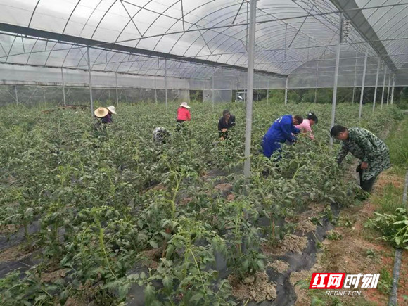 ????_20190822095404_??.jpg ????_20190822095404_??.jpg