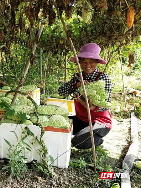 d6e9f66021efc34b41271d7edaff2ee_??.jpg d6e9f66021efc34b41271d7edaff2ee_??.jpg