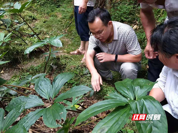 ef0b0027ee00e2b4a2d762d83cde1dd_副本.jpg ef0b0027ee00e2b4a2d762d83cde1dd_副本.jpg