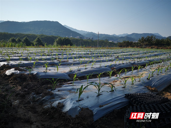 5e9cafa5e74a97f0adf4b6abb4176e0_??.jpg 5e9cafa5e74a97f0adf4b6abb4176e0_??.jpg